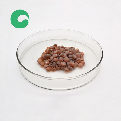 agent anti-âge en caoutchouc pbn d age resistant antiager