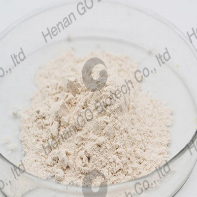 Additif caoutchouc antioxydant haute pureté 118 6ppd France