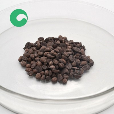 meilleures ventes de poudre chimique mbt pour la fabrication de pneus Burundi